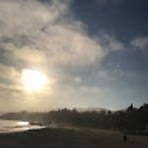 Meet your Posher, Rosa